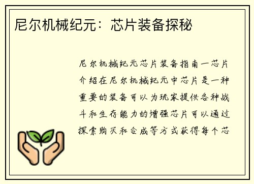 尼尔机械纪元：芯片装备探秘